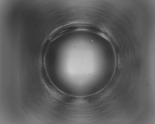 X0000073450348200607281227