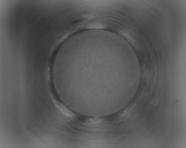 X0000073450351200607281227