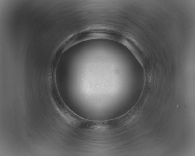 X0000073450352200607281227