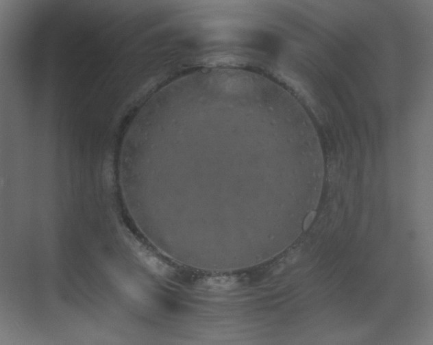 X0000073450353200607281227