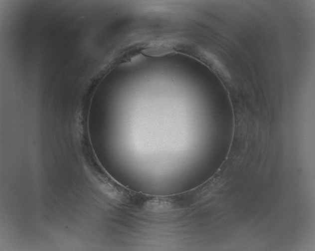 X0000073450354200607281227