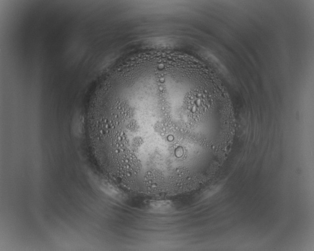 X0000073450355200607281227