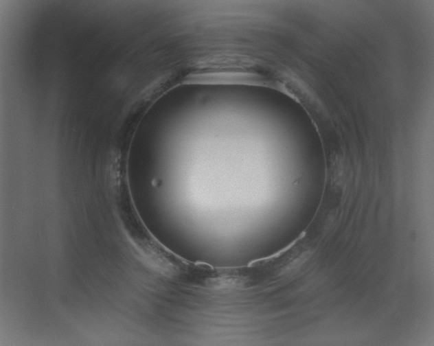 X0000073450356200607281227