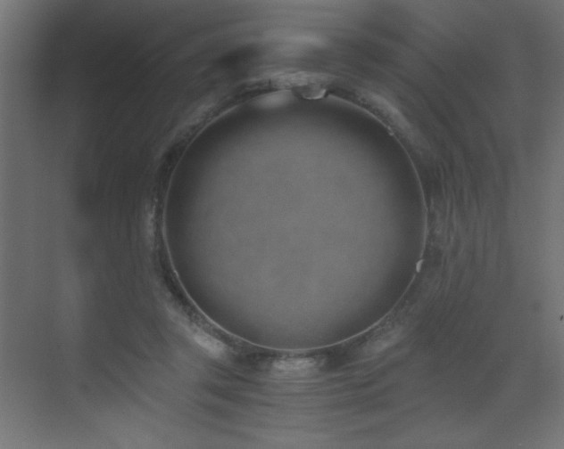 X0000073450357200607281227