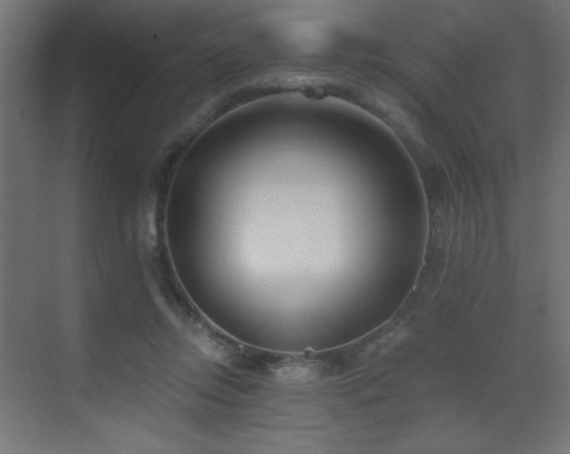 X0000073450358200607281227