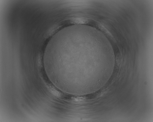 X0000073450359200607281227