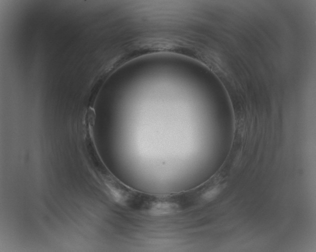 X0000073450360200607281227