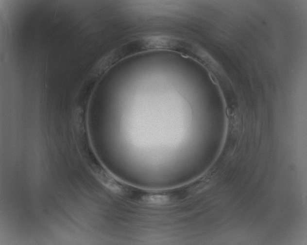 X0000073450361200607281227