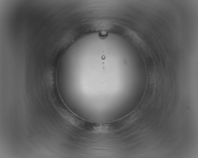 X0000073450362200607281227