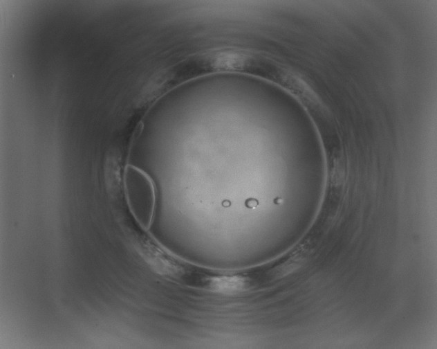 X0000073450363200607281227