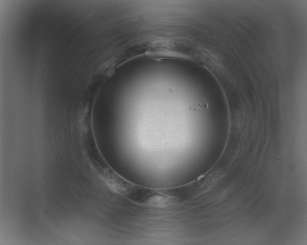 X0000073450364200607281227