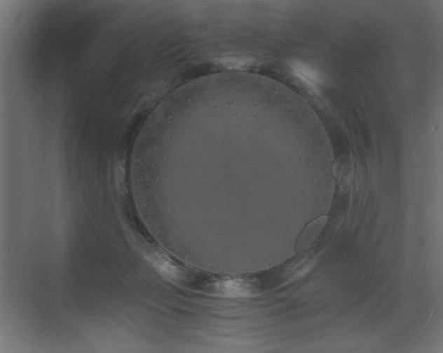 X0000073450365200607281227