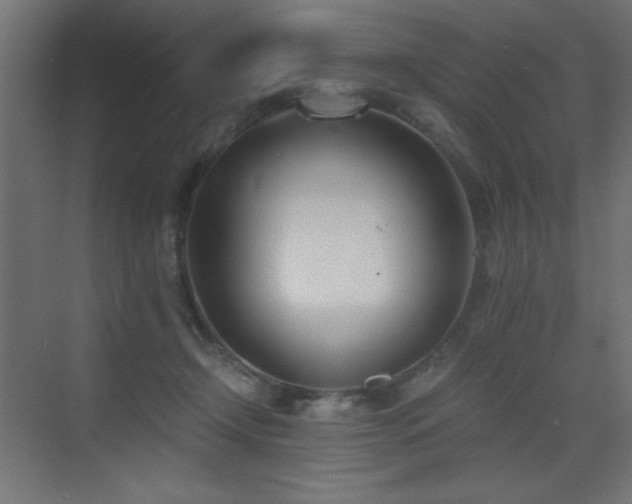 X0000073450366200607281227