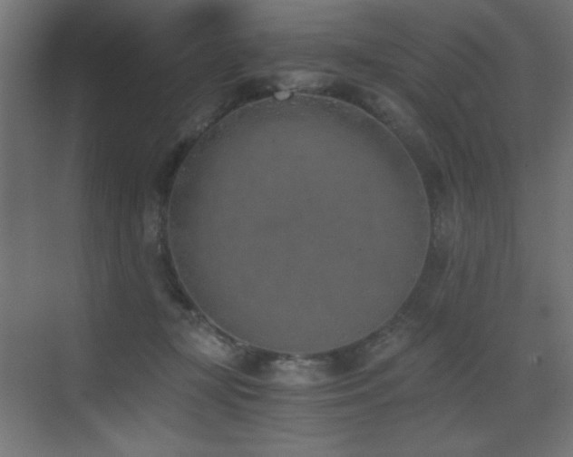 X0000073450367200607281227