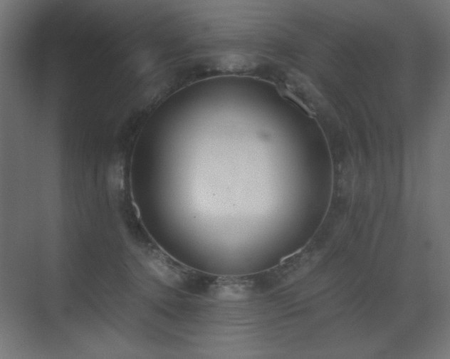 X0000073450368200607281227