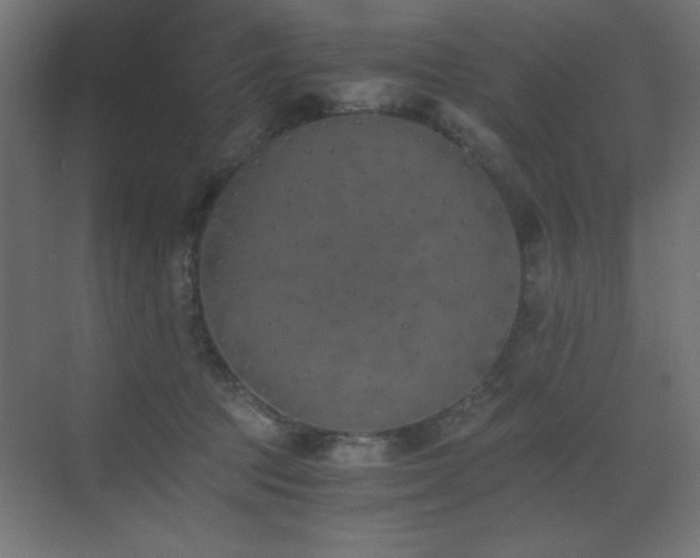 X0000073450369200607281227