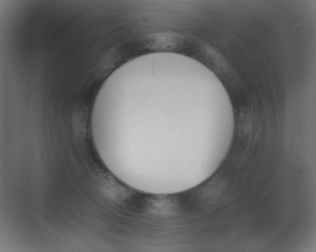 X0000073450370200607281227