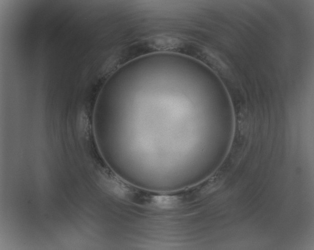 X0000073450371200607281227