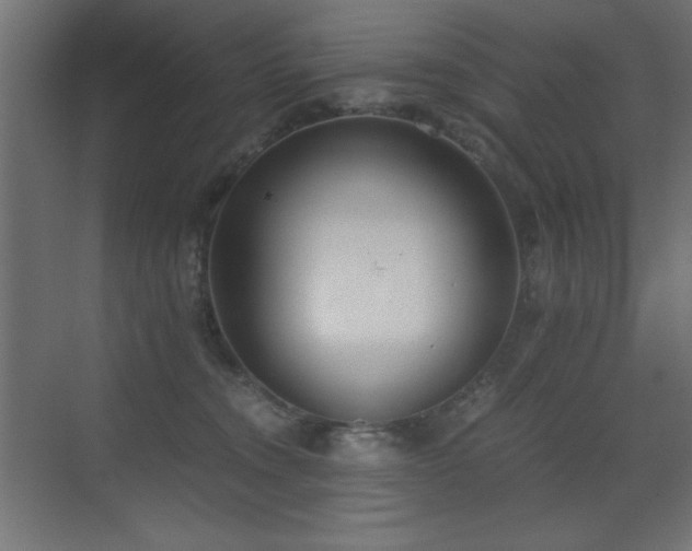 X0000073450372200607281227