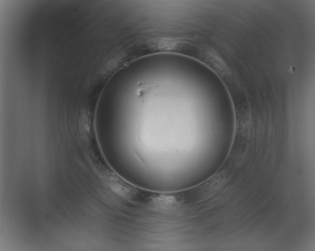 X0000073450374200607281227