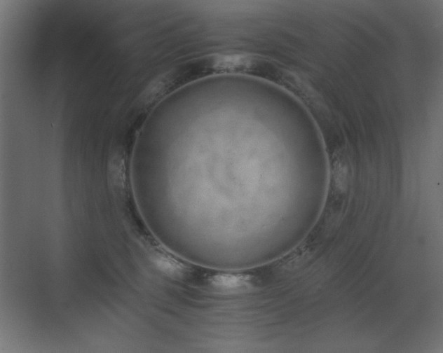 X0000073450375200607281227