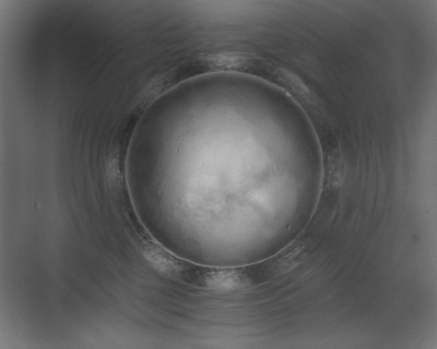 X0000073450377200607281227