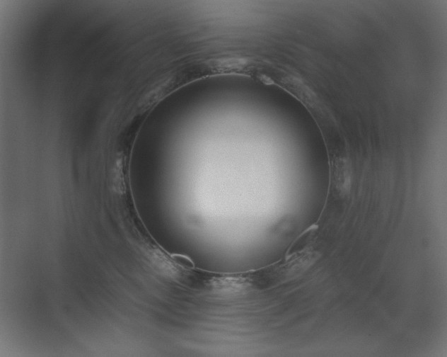 X0000073450378200607281227