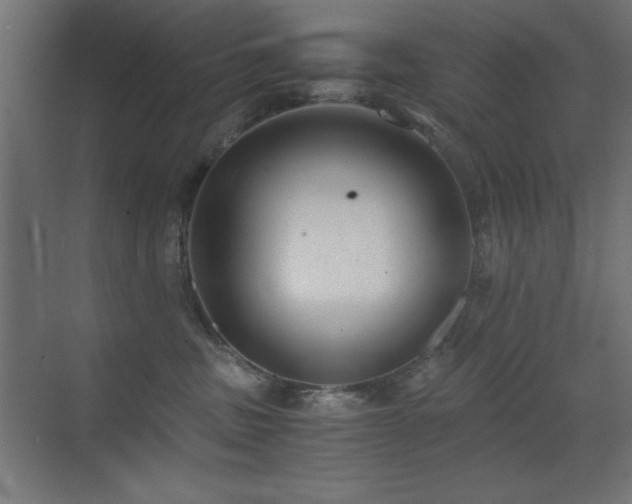 X0000073450379200607281227