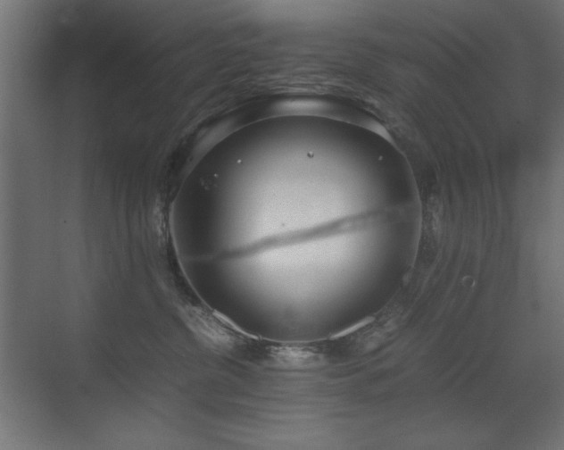 X0000073450380200607281227