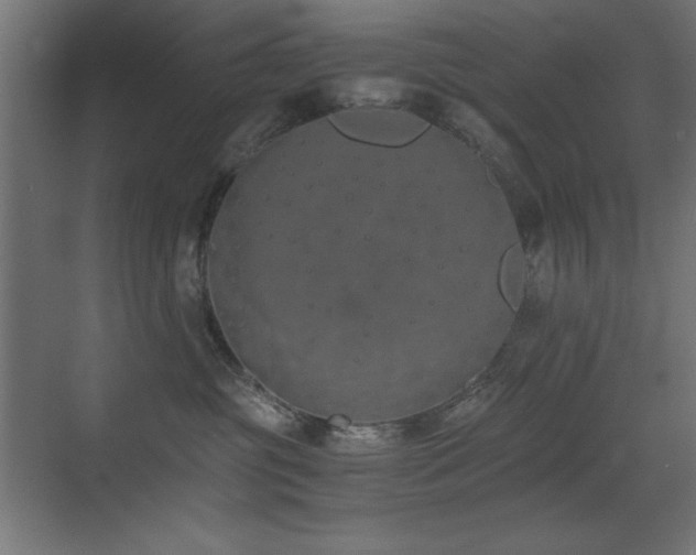 X0000073450381200607281227