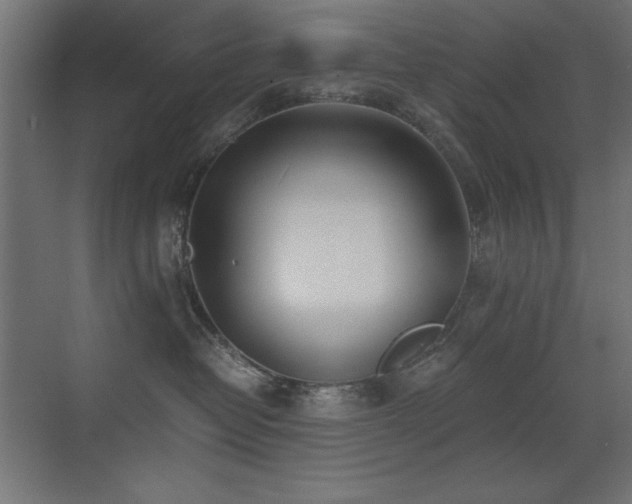 X0000073450382200607281227