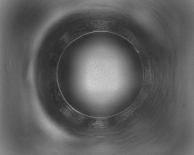 X0000073450383200607281227