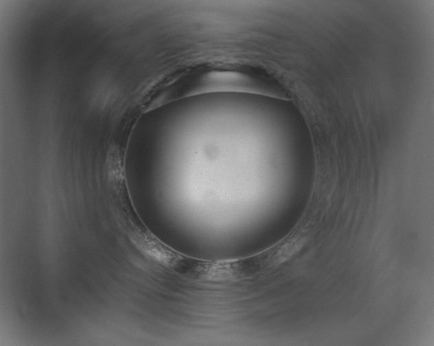 X0000073450384200607281227