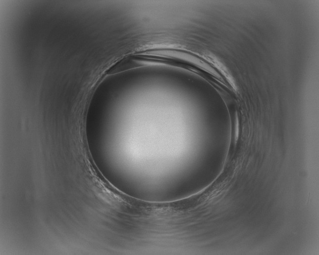 X0000073450385200607281226