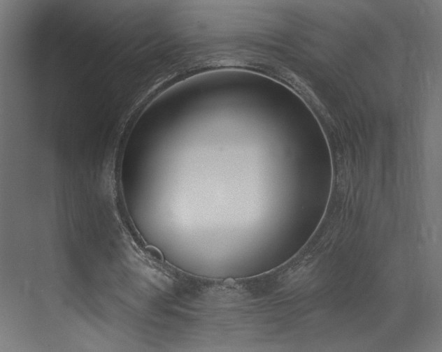 X0000073450386200607281226