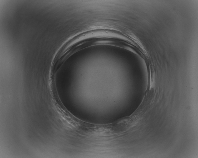 X0000073450387200607281226