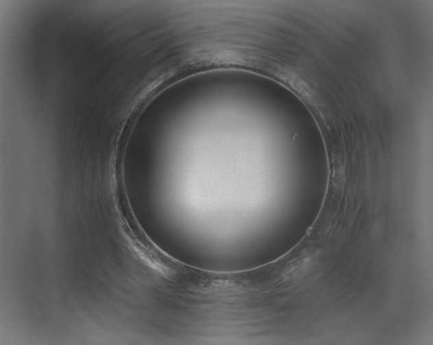 X0000073450390200607281226