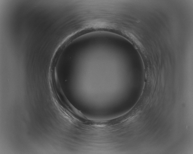 X0000073450391200607281226