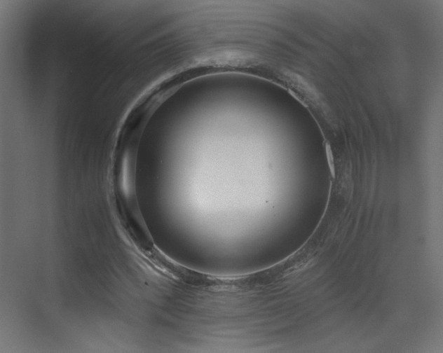 X0000073450392200607281226