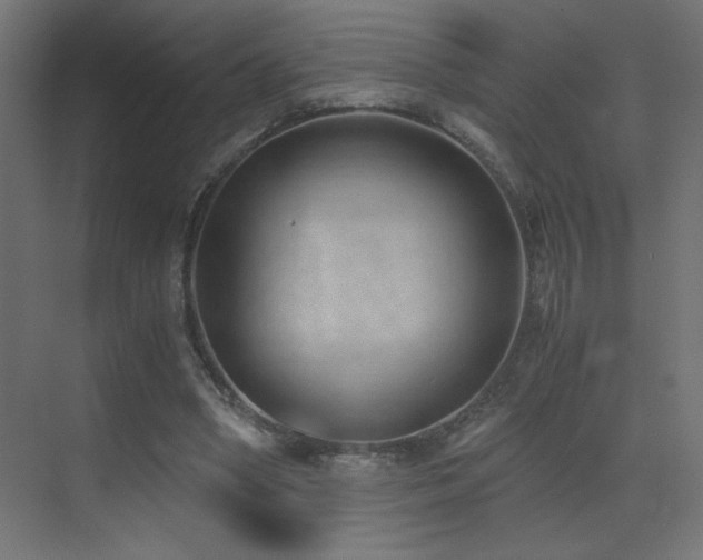 X0000073450394200607281226