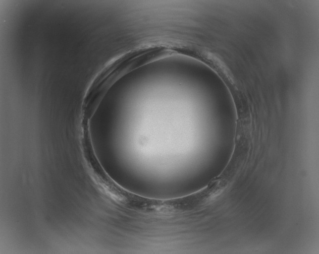 X0000073450395200607281226