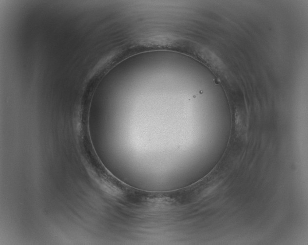 X0000073450396200607281226