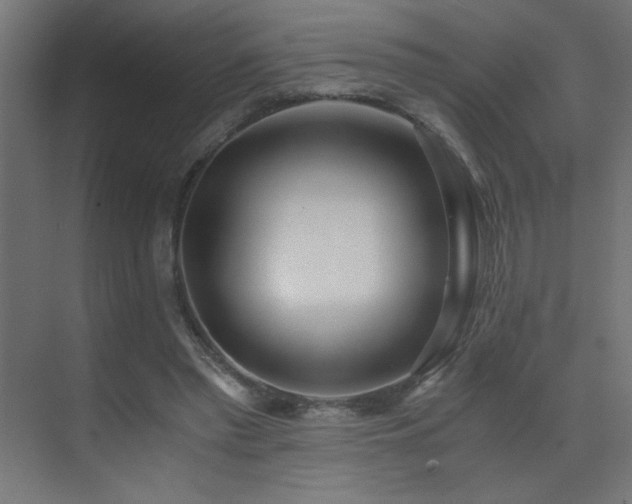 X0000073450397200607281226