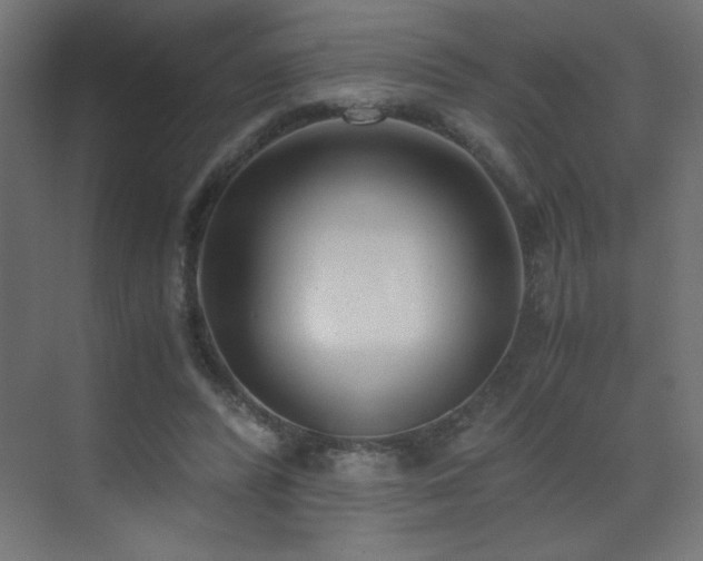 X0000073450400200607281226