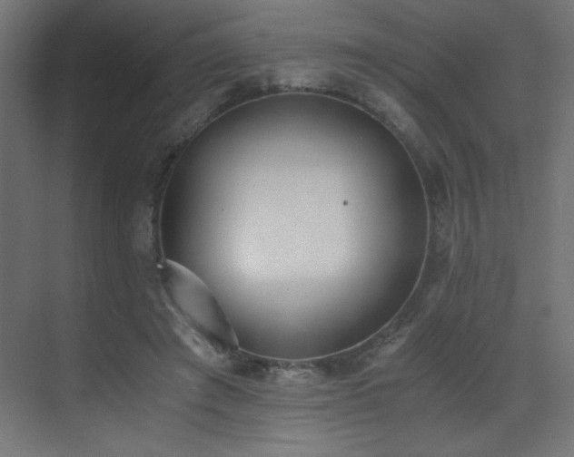 X0000073450401200607281226