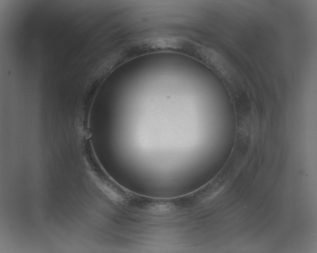 X0000073450402200607281226