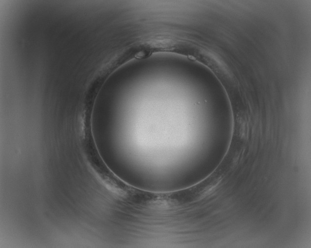 X0000073450404200607281226