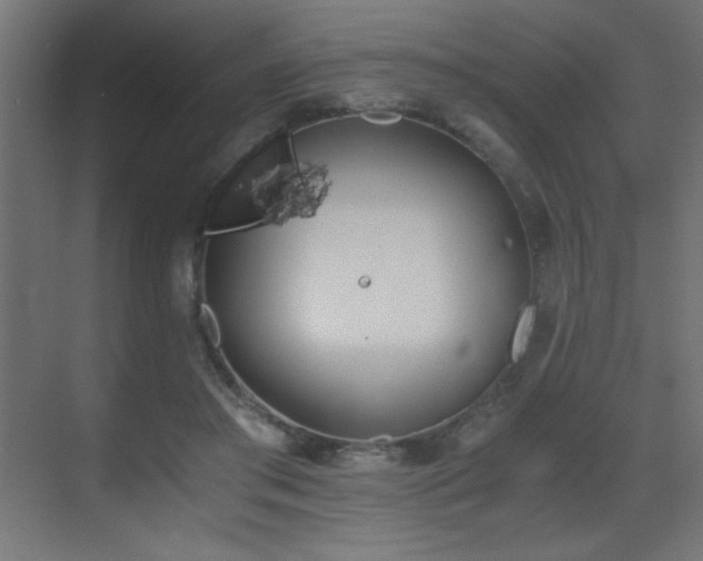 X0000073450405200607281226