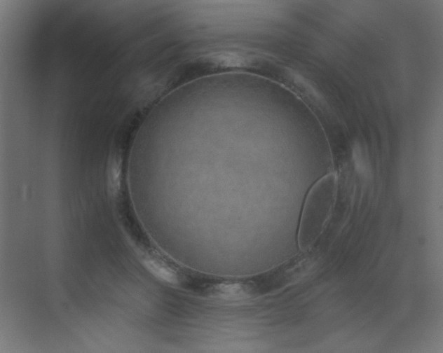 X0000073450406200607281226