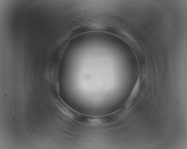 X0000073450409200607281226